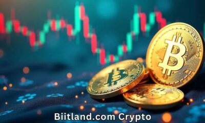 Biitland.com Crypto