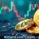 Biitland.com Crypto