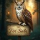 Owl for Sale